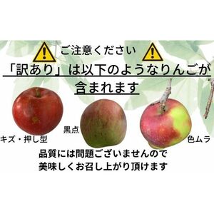 りんご 【 1～2月発送 】訳あり 家庭用 百年木の香 三上農園 サンふじ ＆ 王林 約 5kg 【 弘前市産 青森りんご  果物類 林檎 リンゴ  】