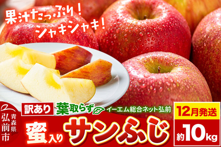 蜜入り EM葉取らずサンふじ約10kg 糖度１３度以上の詳細はコチラ