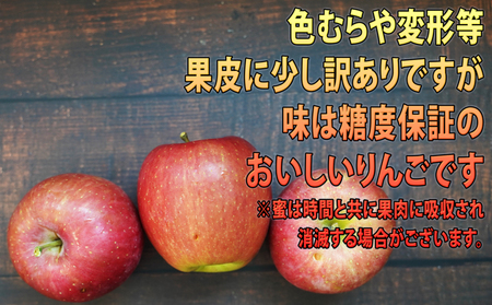 12月発送 訳あり 蜜入り EM葉取らずサンふじ約10kg 糖度13度以上　【弘前市産・青森りんご】