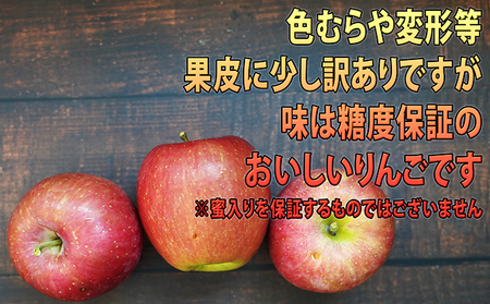 りんご 【 1月発送 】 訳あり EM 葉取らず サンふじ 約 10kg 糖度 13度以上 【 弘前市産 青森りんご 】 リンゴ 果物 青森 弘前 家庭用【 果物類 林檎  】