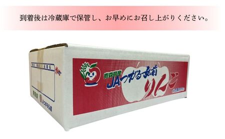 りんご 【 2月発送 】 贈答規格 サンふじ 約 3kg 【 弘前市産 青森りんご  果物類 林檎 リンゴ  】