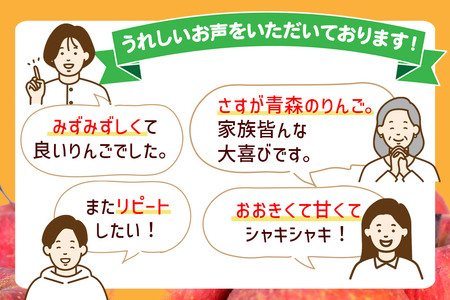 【26年2月発送】りんご 贈答規格 サンふじ 約 3kg(9~12玉程度)
