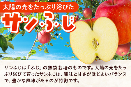 【26年2月発送】りんご 贈答規格 サンふじ 約 3kg(9~12玉程度)