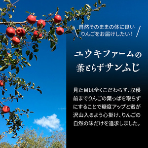 りんご 【 数量限定 】1～3月発送 糖度13度以上 「特選」プレミアム葉とらずサンふじ 約 5kg 16～18個【 弘前市産 青森りんご  果物類 林檎 リンゴ  】