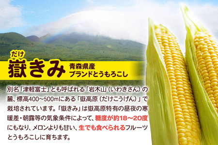 嶽きみ焼酎セット（嶽きみ焼酎34度(乙種焼酎）500ml ×1本・嶽きみ焼酎25度500ml(乙種焼酎）×1本）【 お酒 】