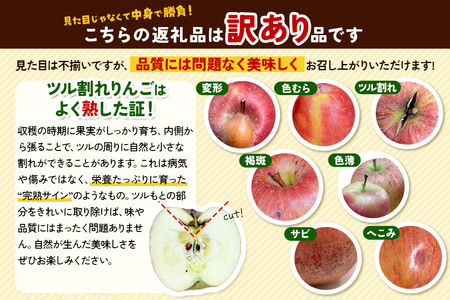 【25年12月～発送】りんご 【訳あり】家庭用 百年木の香 三上農園 サンふじ ギフトセット【先行受付】 青森 果物 フルーツ 林檎 リンゴ くだもの 不揃い 規格外 予約