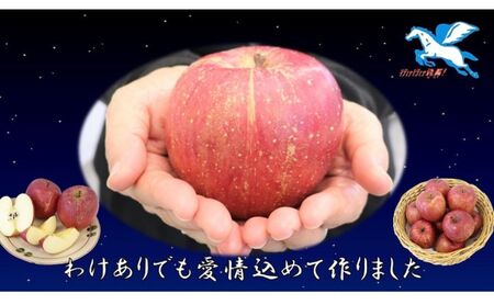 りんご 【 2月発送 】 わけあり サンふじ 約 5kg 【 弘前市産 青森りんご  果物類 林檎 リンゴ 約5kg 訳あり  】