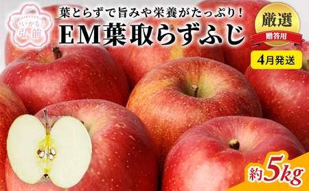 りんご 【 4月発送 】 贈答用 EM 葉取らず ふじ 約 5kg ( 有袋栽培 CA貯蔵 ) 【 弘前市産 青森りんご 】リンゴ 果物 青森 弘前 贈答【 果物類 林檎  】