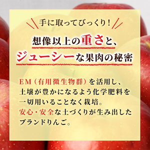 りんご 【 4月発送 】 贈答用 EM 葉取らず ふじ 約 5kg ( 有袋栽培 CA貯蔵 ) 【 弘前市産 青森りんご 】リンゴ 果物 青森 弘前 贈答【 果物類 林檎  】