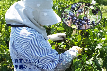  カシス果汁100％ジュース（無加糖・無添加）250ml×2本【果汁飲料】