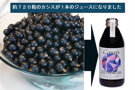  カシス果汁100％ジュース（無加糖・無添加）250ml×2本【果汁飲料】