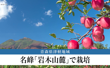 りんごジュース RICH APPLE　無添加製法　12本セット（250ml×12本）