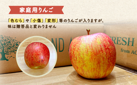 12月発送 家庭用 葉とらず サンふじ 約5kg【弘前市産・青森りんご 果物類 林檎 リンゴ  】