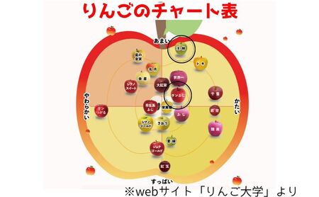 りんご 【 1月発送 】 家庭用 サンふじ ・ 王林 詰め合わせ 約 5kg 【 弘前市産 青森りんご  果物類 林檎 リンゴ 約5kg  】