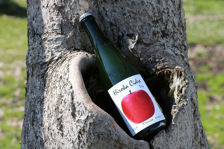  ヒロカシードル ドライ 750ml×2本