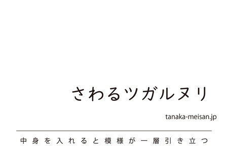 津軽塗 さわるツガルヌリ スプレーボトル(5色セット)