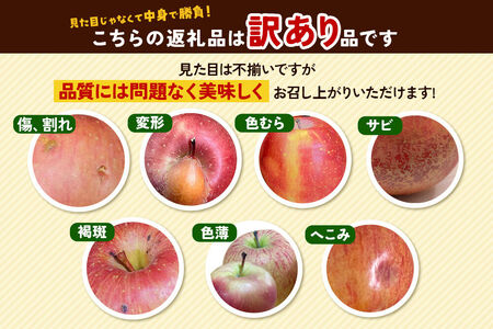 【26年5月発送】りんご 平均糖度13度以上！ 有袋ふじ 約5kg 訳あり CA貯蔵 クール便 青森 果物 フルーツ 林檎 リンゴ くだもの 不揃い 規格外