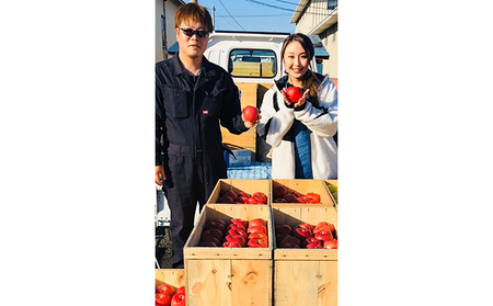 りんご 【 1月発送 】狼の葉とらず サンふじりんご 家庭用 約 5kg 【 弘前市産 青森りんご  果物類 林檎 リンゴ 訳あり 5キロ  】