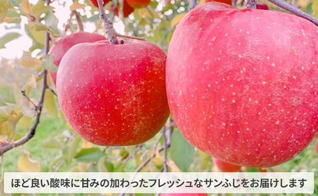 【11月～12月発送】家庭用 サンふじ 約 5kg 【弘前市産・青森りんご】