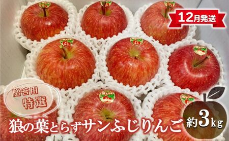 りんご 【 12月発送 ・ 贈答 】 狼の葉とらず サンふじりんご 特選 約 3kg 【 弘前市産 青森りんご 】