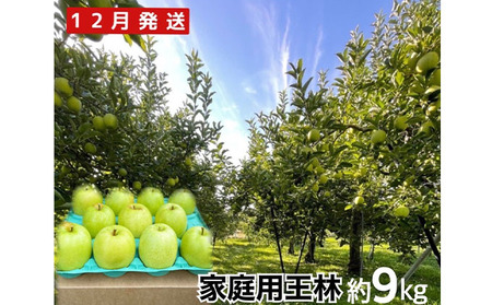 12月 訳あり 家庭用王林約9kg【弘前市産・青森りんご】