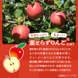 葉とらずりんごジュース（1000g×20本セット）