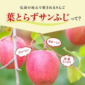 【 1月発送 】 糖度13度以上 おもてなし用 葉とらず サンふじ 約 5kg 【 弘前市産 青森りんご 】 果物 フルーツ デザート 食後 青森県産 産地直送