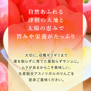 【 1月発送 】 糖度13度以上 おもてなし用 葉とらず サンふじ 約 5kg 【 弘前市産 青森りんご 】 果物 フルーツ デザート 食後 青森県産 産地直送