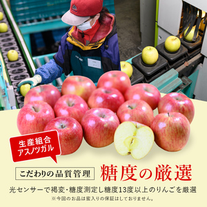 【 1月発送 】 糖度13度以上 おもてなし用 葉とらず サンふじ 約 5kg 【 弘前市産 青森りんご 】 果物 フルーツ デザート 食後 青森県産 産地直送