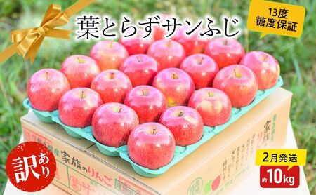 【 2月発送 】 糖度13度以上 訳あり 家庭用 葉とらず サンふじ 約 10kg 【 弘前市産 青森りんご 】 果物 フルーツ デザート 食後 青森県産 産地直送