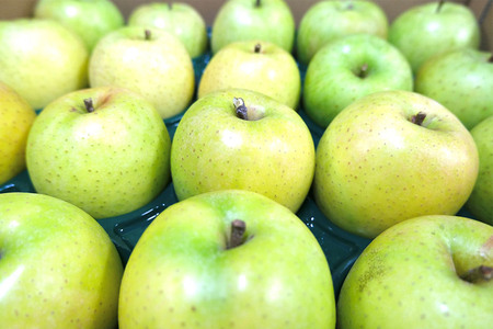 【26年3月発送】りんご 平均糖度13度以上！ 王林 約5kg おもてなし用 青森 果物 フルーツ 林檎 リンゴ くだもの