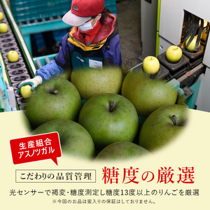 りんご 【2月発送】 糖度13度以上 おもてなし用 王林 約 5kg 【 弘前市産 青森りんご  果物 フルーツ デザート 食後 青森県産 産地直送 贈り物  】