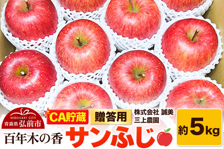 【26年4月発送】りんご 【CA貯蔵】贈答用 百年木の香 三上農園 サンふじ 約5kg (14～20玉程度)【先行受付】 青森 果物 フルーツ 林檎 リンゴ くだもの 予約