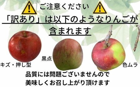 りんご 【 4月発送 CA貯蔵 】 訳あり 家庭用 百年木の香 三上農園 サンふじ ギフトセット 【 弘前市産 青森りんご 】 果物 フルーツ 詰め合わせ おやつ サンふじりんご りんごジュース りんごチップ 干しりんご