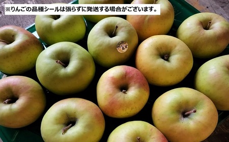 【12月発送】贈答用 絶品ちとせ村 名月 約3kg【弘前市産・青森りんご】