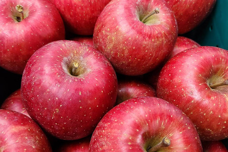 【25年11月~発送】りんご【贈答用】葉とらずサンふじ 約3kg ちとせ村