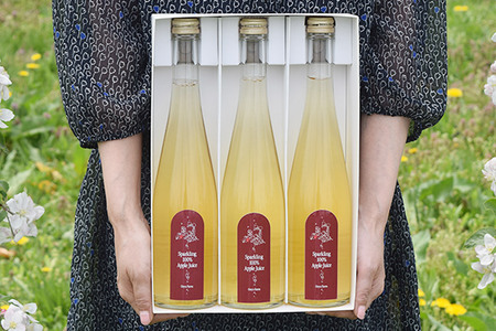  スパークリング100％りんごジュース（3本入り） りんご果汁100％ リンゴ 果汁 林檎 飲料 アップル 果物 フルーツ 青森 飲み物 ドリンク