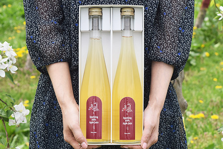  スパークリング100％りんごジュース（2本入り） りんご果汁100％ リンゴ 果汁 林檎 飲料 アップル 果物 フルーツ 青森 飲み物 ドリンク