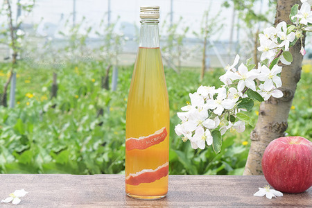 りんご贅沢しぼり 500ml×1本 スパークリング 500ml×1本 計2本セット りんご果汁100% りんごジュース リンゴ 果汁 林檎 飲料 アップル 果物 フルーツ 青森 飲み物 ドリンク