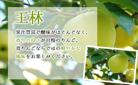 【2月発送】訳あり 家庭用 ちとせ村 王林 約5kg【弘前市産・青森りんご 果物 フルーツ 産地直送 青森のりんご 食後 デザート おやつ  】