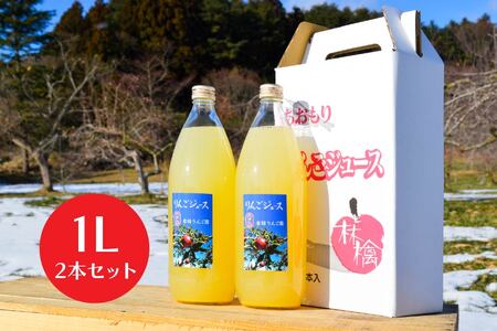 八戸産岩舘 りんご園のりんごジュース 2本セット りんご リンゴ 林檎 ジュース ドリンク リンゴジュース 1リットル×2本 合計2リットル　