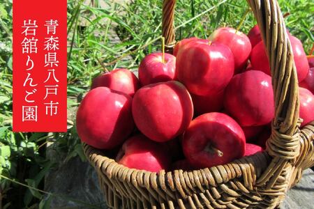 八戸産岩舘 りんご園のりんごジュース 2本セット りんご リンゴ 林檎 ジュース ドリンク リンゴジュース 1リットル×2本 合計2リットル　