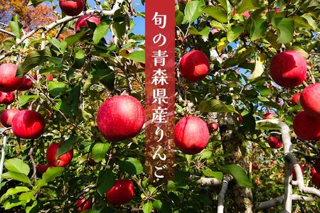12月中にお届け！青森県産 サンふじ 3kg りんご 年内配送 家庭用 贈答用　