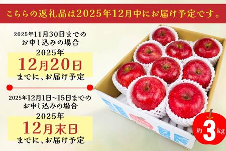 12月中にお届け！青森県産 サンふじ 3kg りんご 年内配送 家庭用 贈答用　