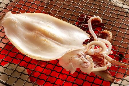 いか一夜干し足折3尾 3尾×3パック 合計約900g いか イカ 海産物 海鮮 一夜干し するめいか スルメイカ おつまみ 冷凍 青森県 八戸市　