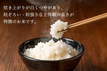 令和7年産 青森県産 まっしぐら 20kg 精米 白米 お米