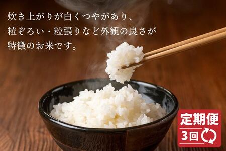【3回定期便】青森県産 まっしぐら 10kg 精米 白米 お米　