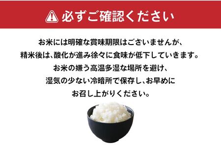 青森県産 はれわたり 5kg 5kg×1袋 令和7年産 米 精米 白米 お米 青森県産