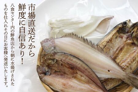厳選 干物 セット イカ 鯖 真ホッケ オイランガレイ 一夜干し　
