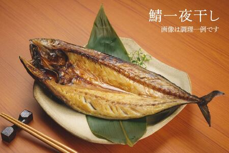 厳選 干物 セット イカ 鯖 真ホッケ オイランガレイ 一夜干し　